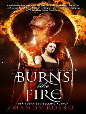 cover image of Burns Like Fire